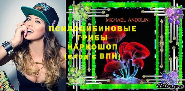 шишки Балабаново