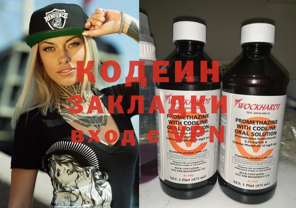 шишки Покачи