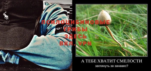шишки Балабаново