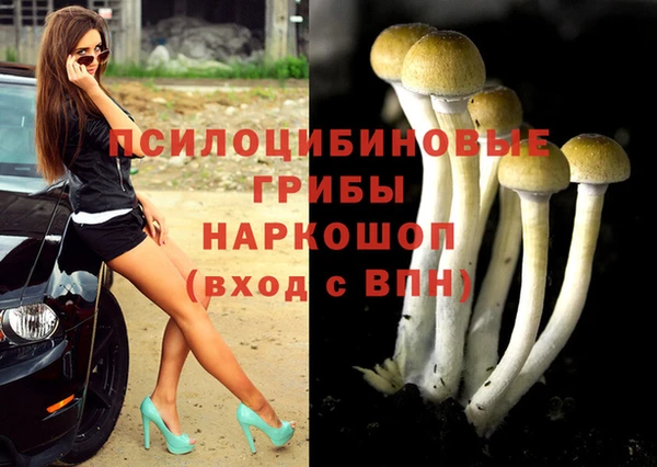 молекула духа Баксан