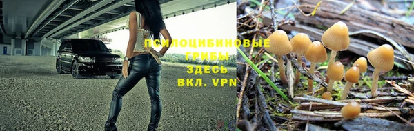 соль курить ск Покровск