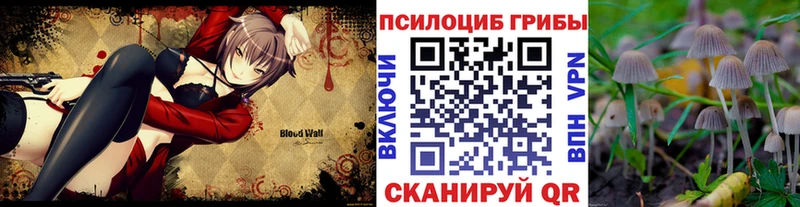 Псилоцибиновые грибы GOLDEN TEACHER  где продают   Белёв 